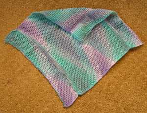 blue/violet dish cloth