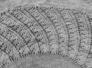 close up of lace